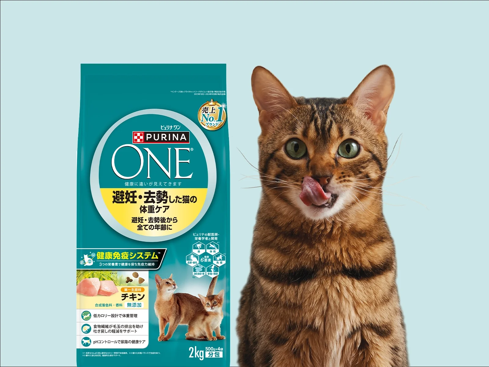 ピュリナワン猫6つおまけ付 ココア5杯付 ピュリナワン猫6つおまけ付 ココア5杯付 【公式通販】